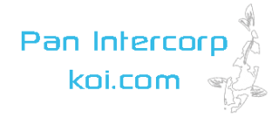 Shop - Pan Intercorp